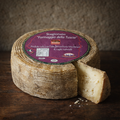 🧀 FORMAGGIO DELLA TUSCIA